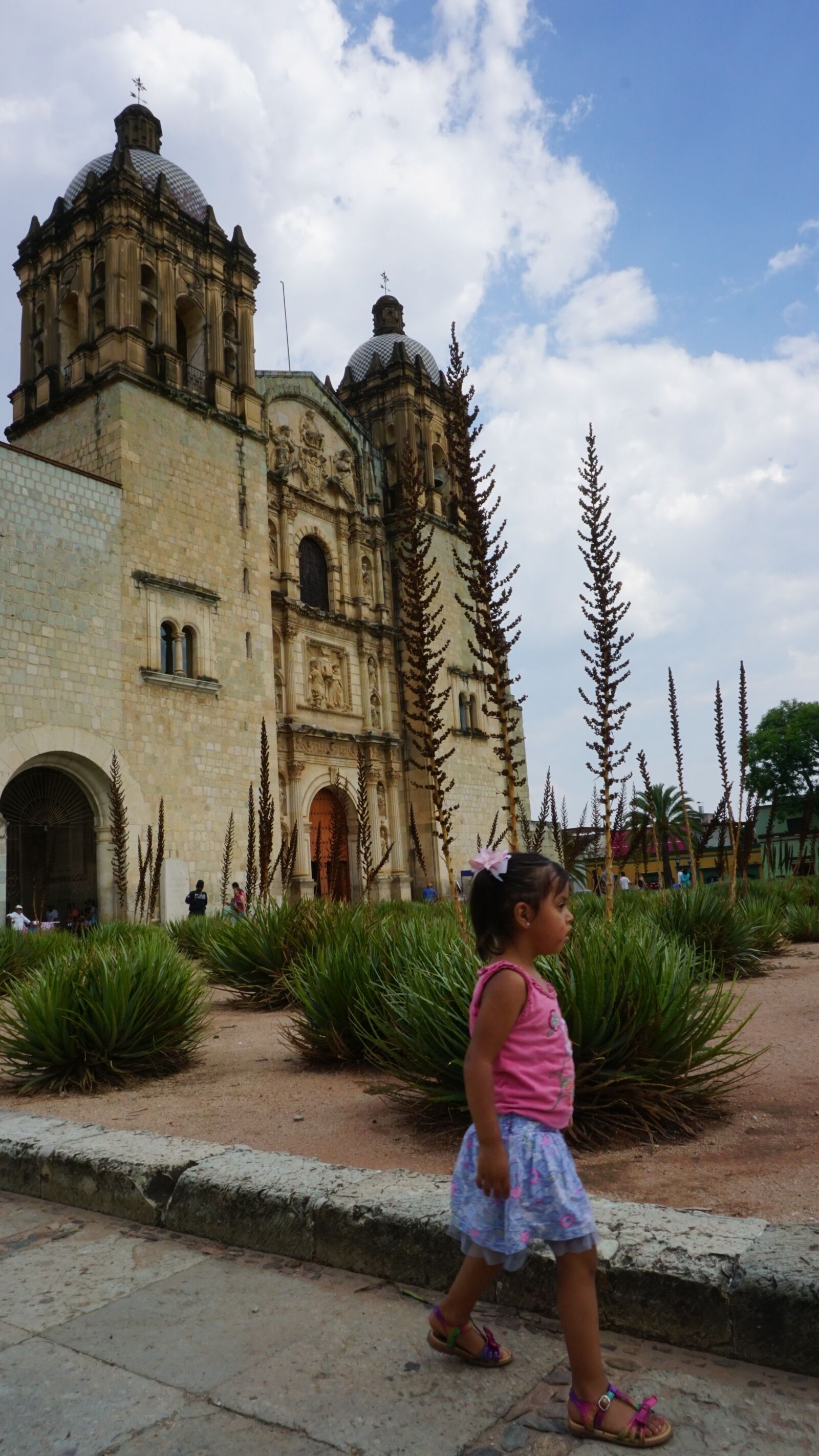 Sony a6000 sample photo. Mexico, oaxaca, indian photography