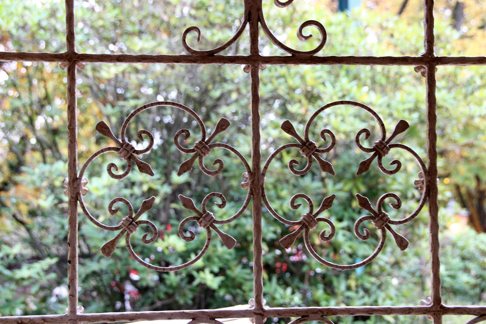 Canon EOS 600D (Rebel EOS T3i / EOS Kiss X5) sample photo. Grid, ornaments, art photography