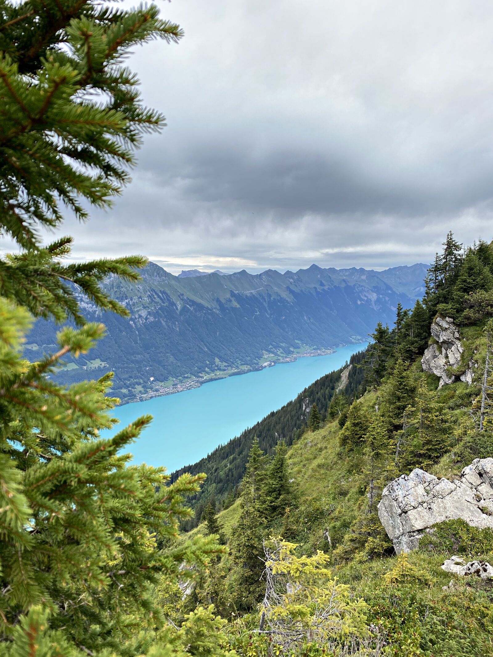 Apple iPhone 11 sample photo. Lake brienz, lake, mountain photography