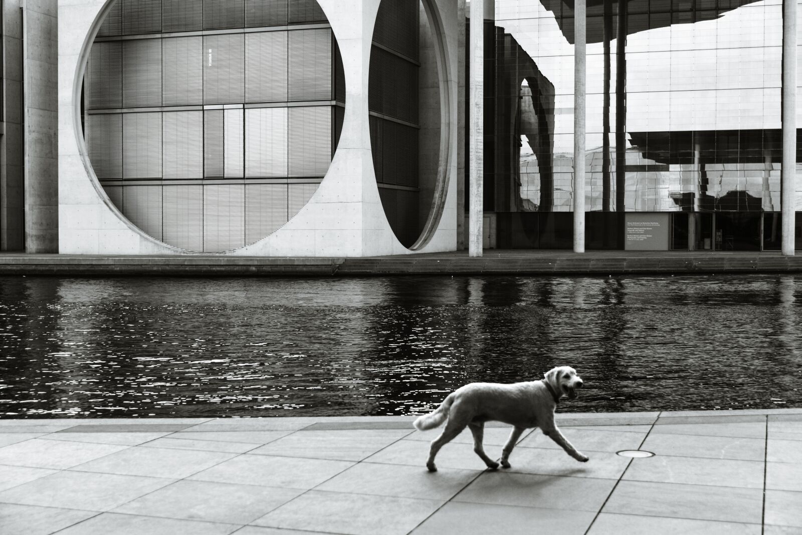Nikon D610 sample photo. Architecture, modern, geometry photography