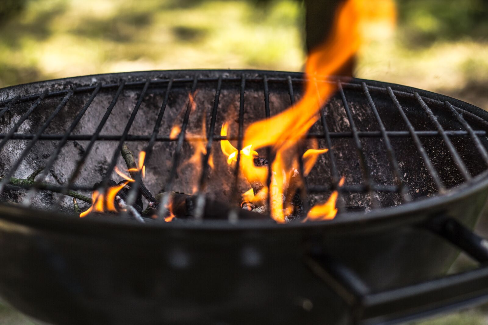 Canon EOS 60D + Canon EF 50mm F1.8 II sample photo. Grill, season on the photography