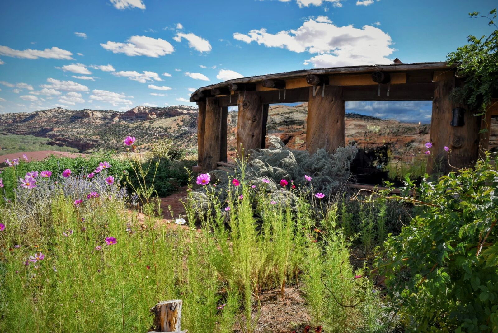 Nikon D3300 sample photo. Coffee house, utah, scenic photography