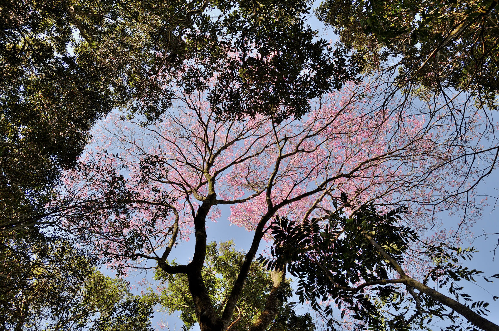 Nikon D5100 sample photo