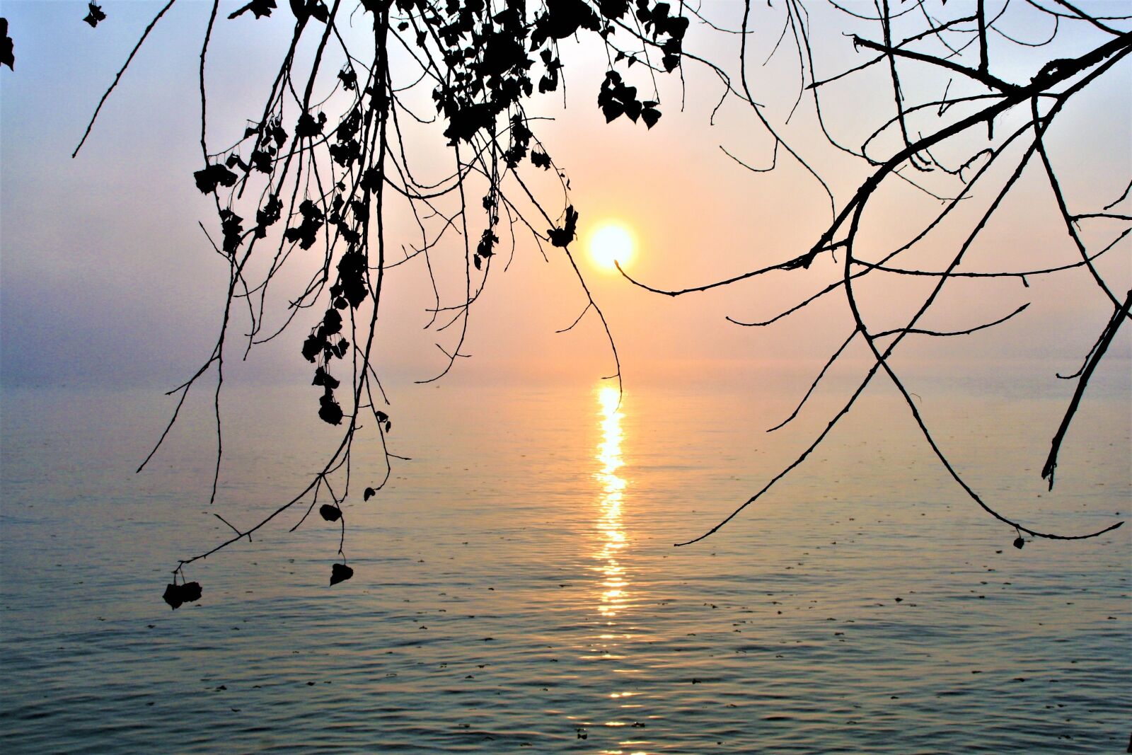 Canon EOS 400D (EOS Digital Rebel XTi / EOS Kiss Digital X) sample photo. Bodensee, lake, morning photography