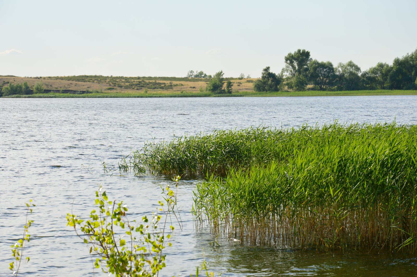 Nikon D3200 sample photo. Landscape, river, summer photography