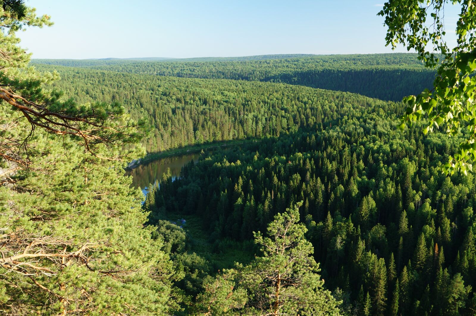 Sony SLT-A57 sample photo. River, forests, trees photography