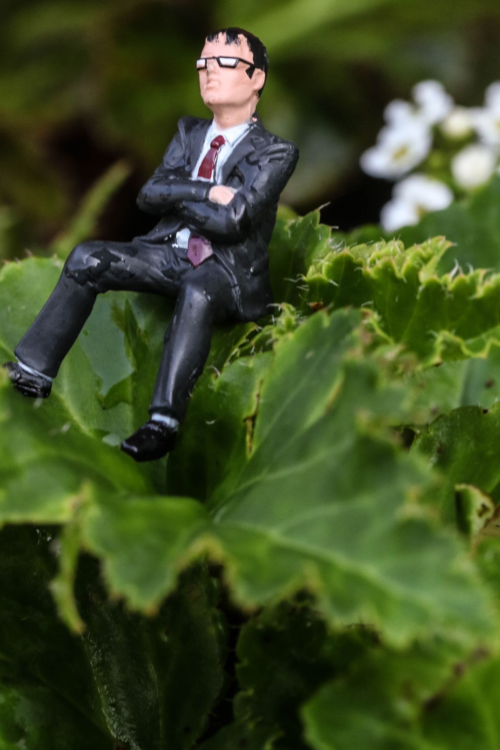 Canon EOS 7D Mark II sample photo. Miniature, figure, garden flower photography