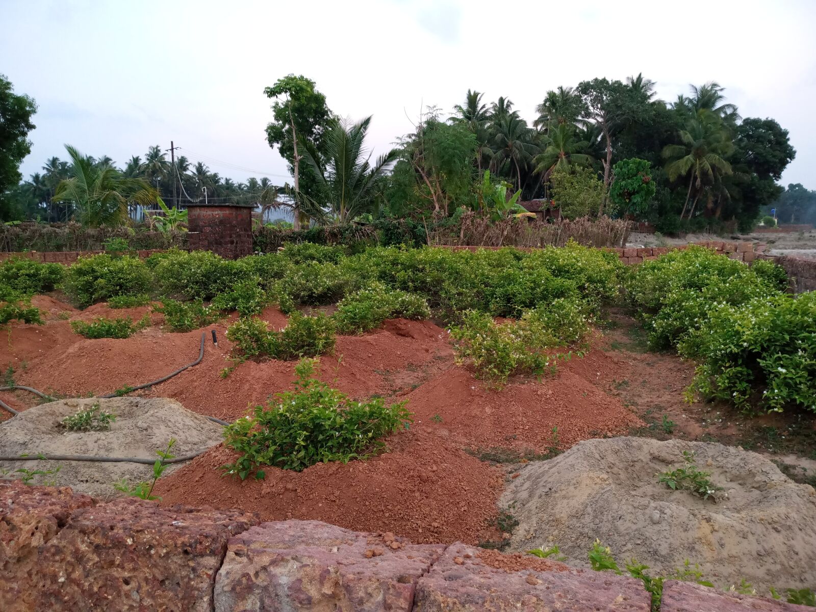 INFINIX MOBILITY LIMITED Infinix X650C sample photo. Indian village, beauty of photography