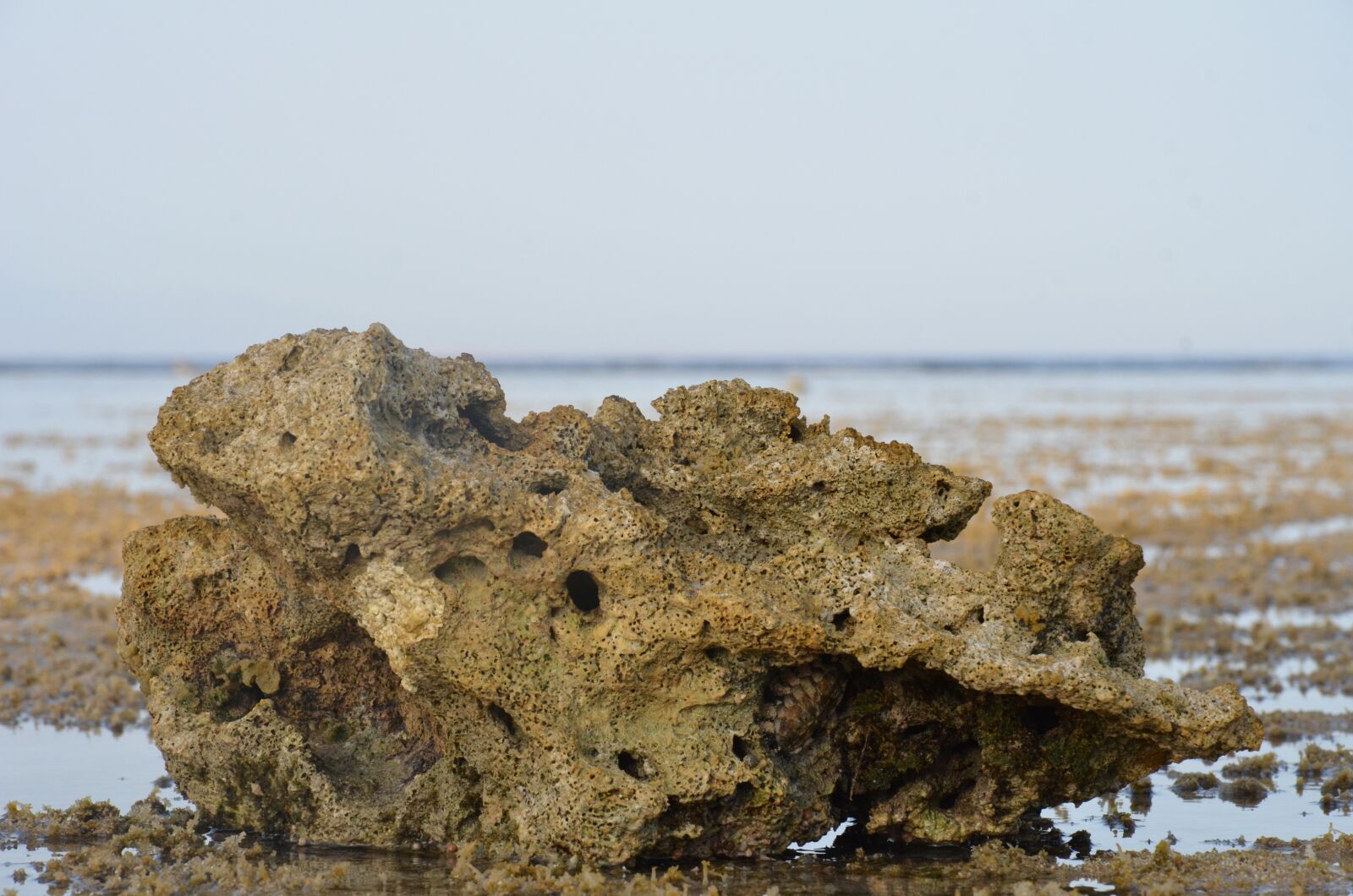 Nikon D7000 sample photo. Red sea, pierce, pontoon photography