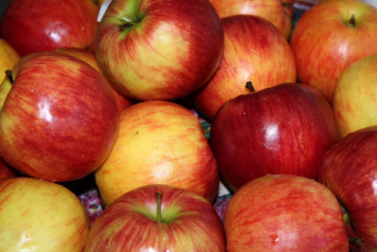 Canon EOS 1200D (EOS Rebel T5 / EOS Kiss X70 / EOS Hi) sample photo. Apples, fruit, vitamins photography