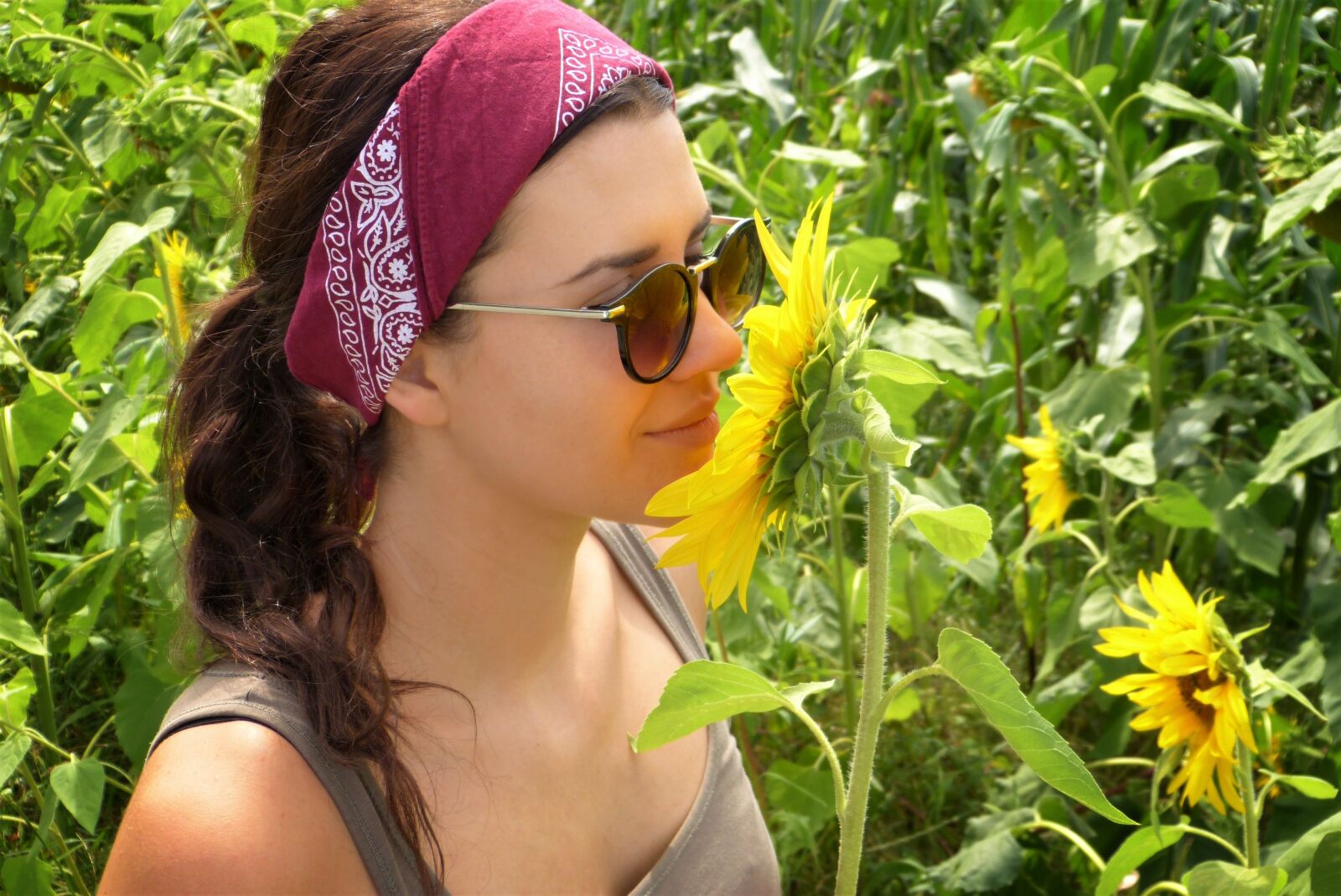 Panasonic Lumix DMC-FZ150 sample photo. Girl, sunflower, field photography