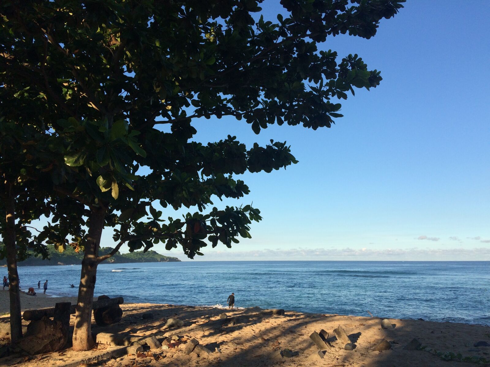 iPhone 5s back camera 4.15mm f/2.2 sample photo. Beach, tranquility, trees photography