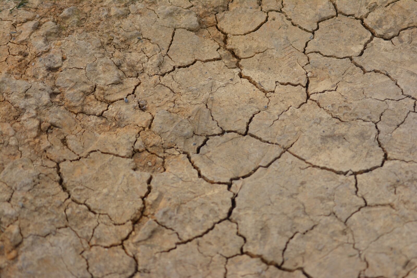Nikon D5200 sample photo. Cracked dirt, texture, crack photography