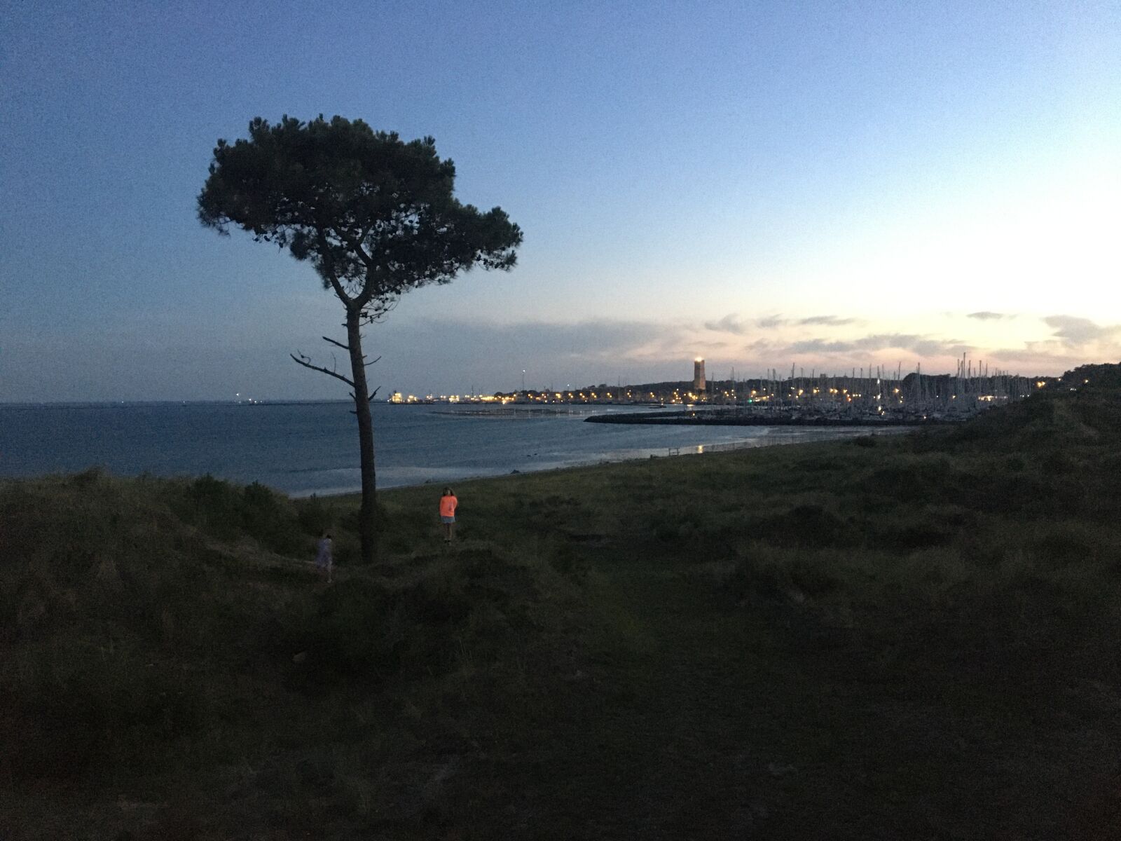 Apple iPhone 6s sample photo. Tree, sea, beach photography