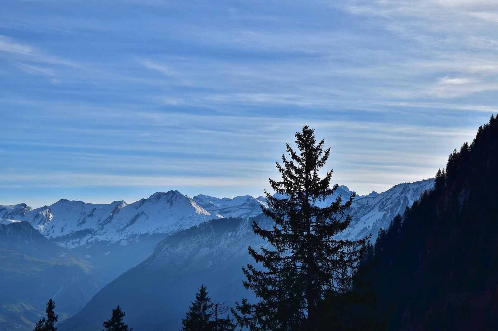 Nikon D5600 sample photo. Mountains, trees, landscape photography