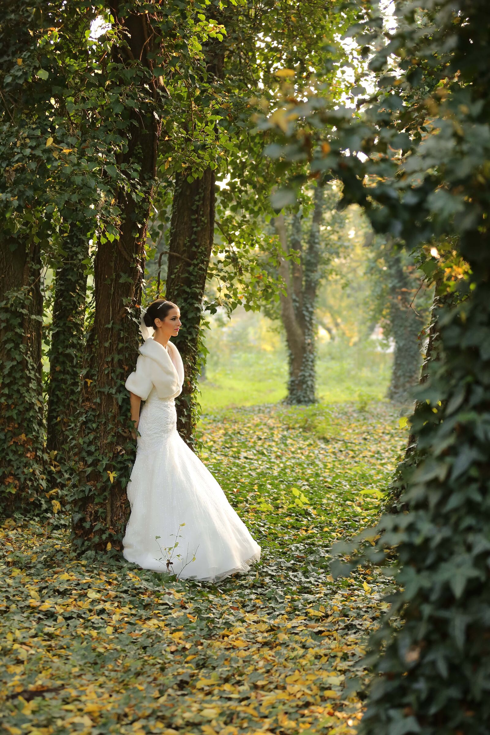 Canon EF 70-200mm F2.8L IS II USM sample photo. Bride, forest, glamour, elegance photography
