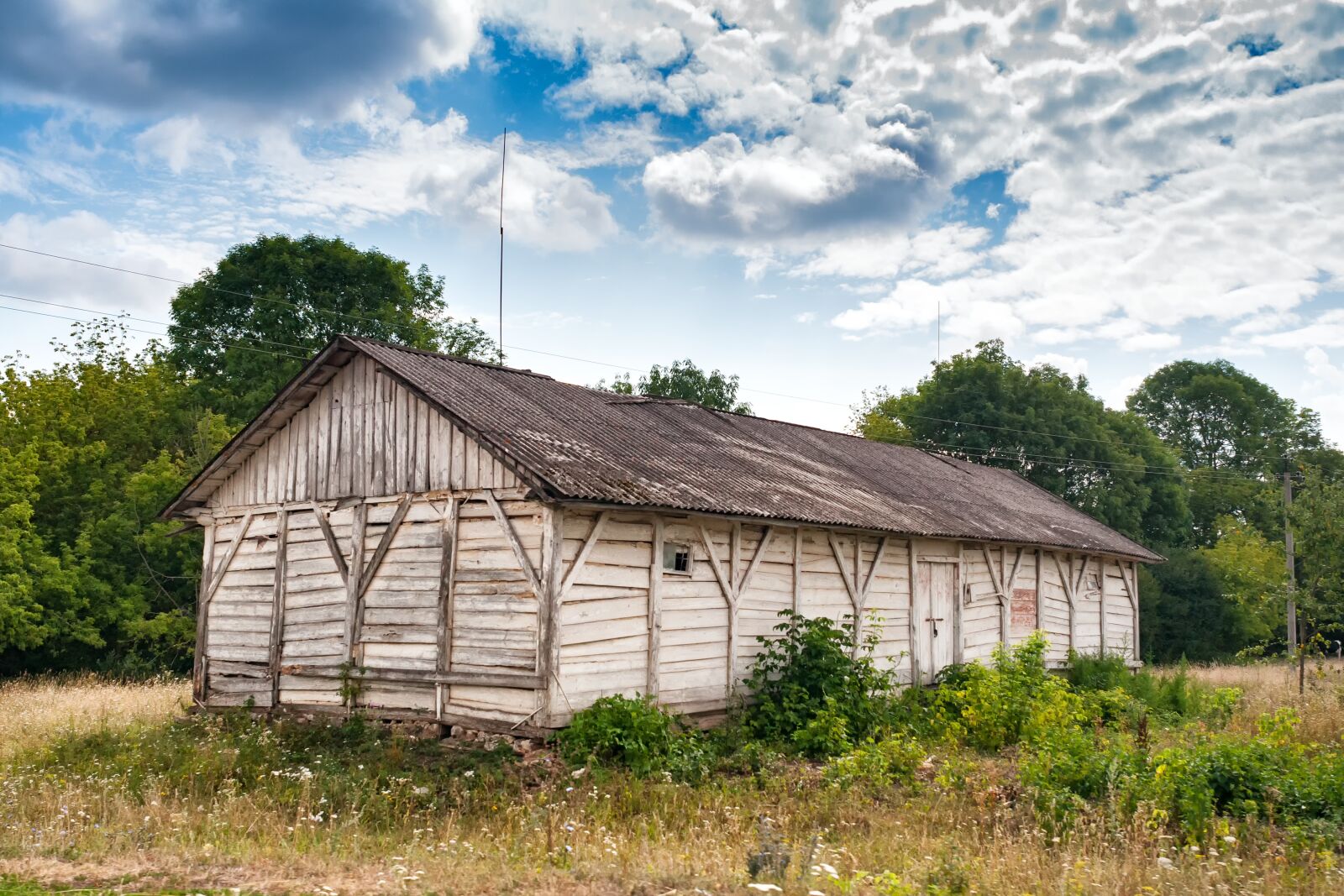 Nikon D300S sample photo. Wood, barn, chortkiv photography