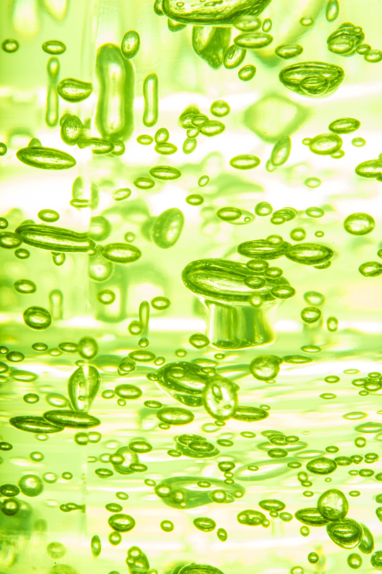 Sony Alpha DSLR-A850 + Tamron SP AF 90mm F2.8 Di Macro sample photo. Green, bubble, air photography
