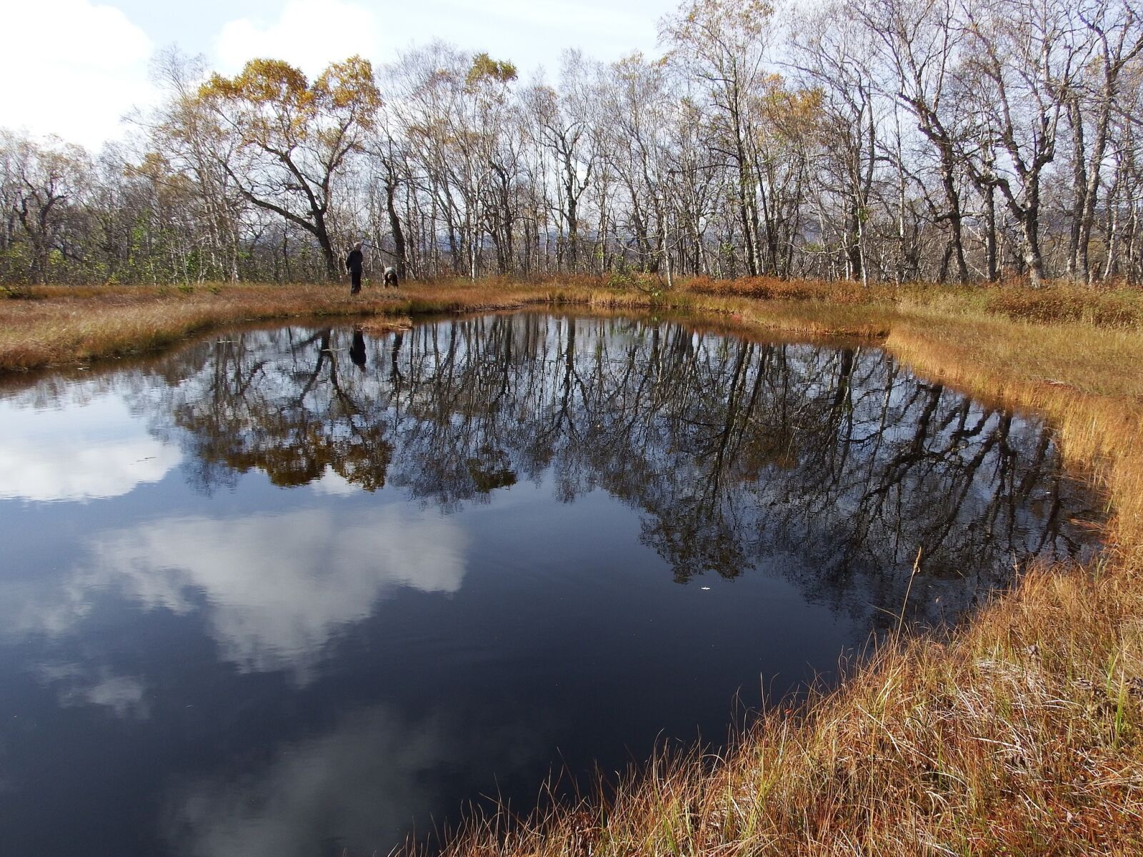 Fujifilm FinePix S1 sample photo. Lake, forest, tundra photography