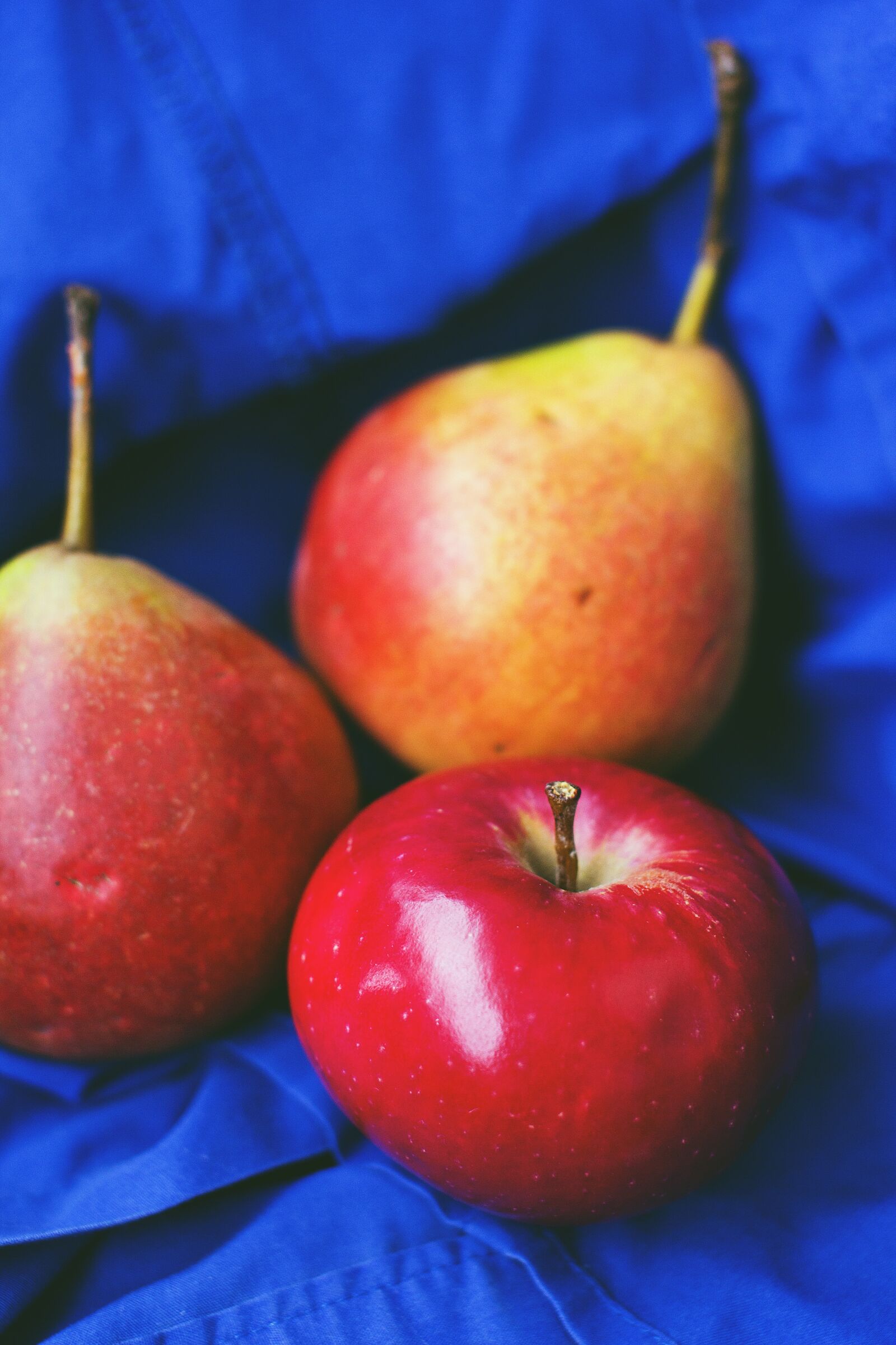 Canon EOS 60D sample photo. Nature, apple, autumn photography