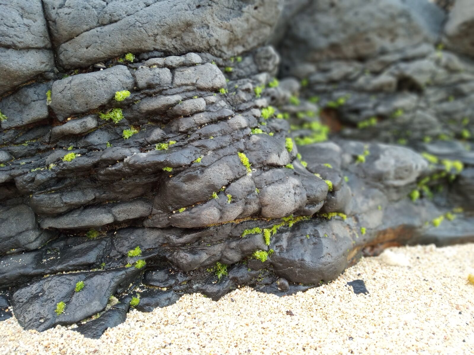 Xiaomi Redmi 6 sample photo. Rock, algae, sand photography