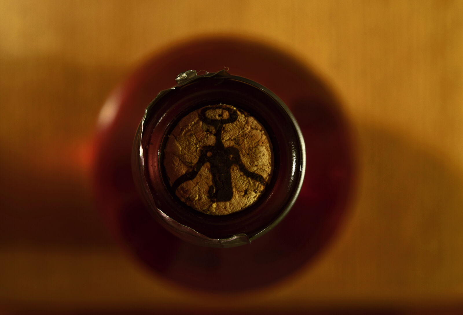 Nikon D3300 sample photo. Rose, wine photography