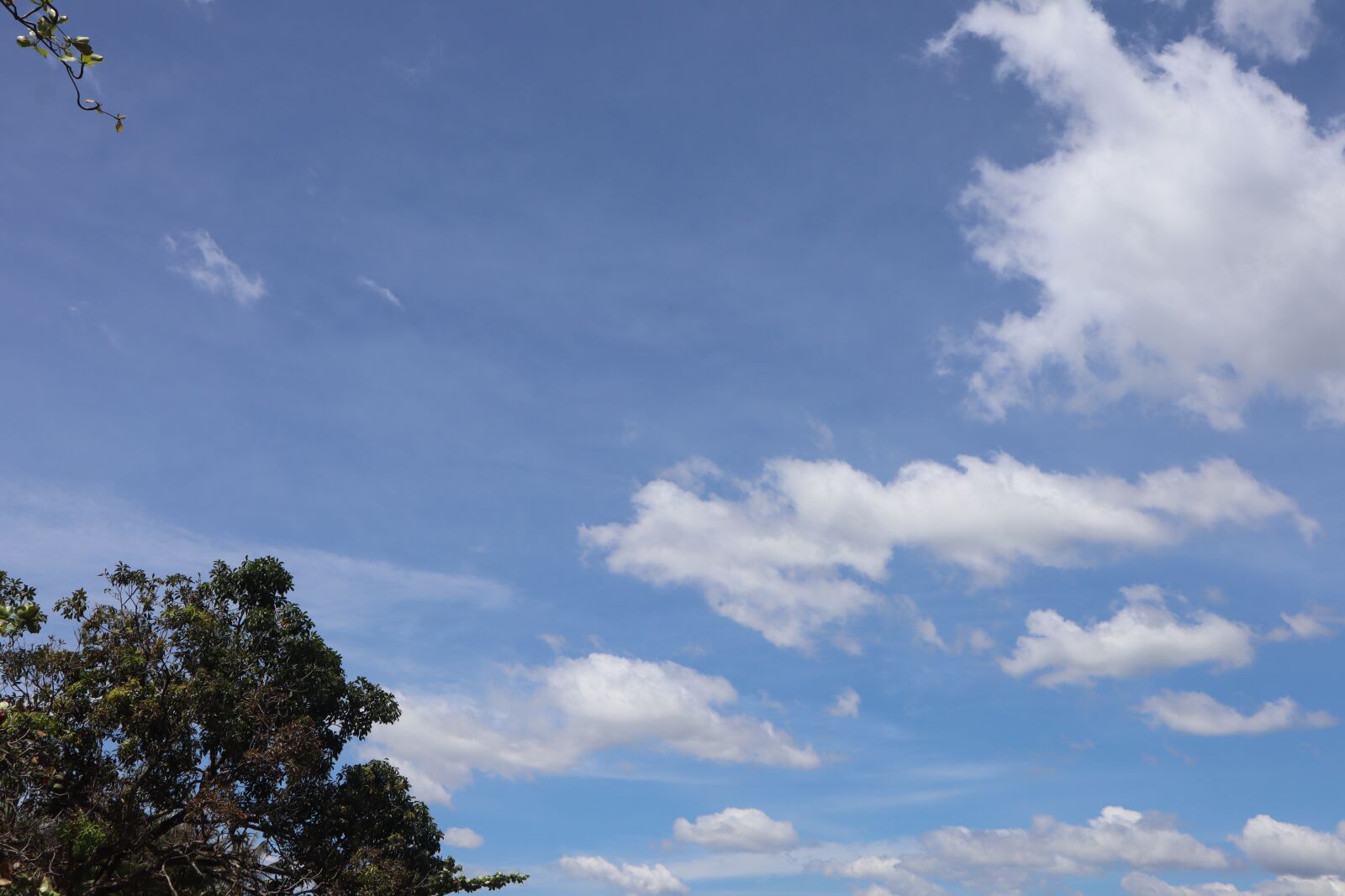 Canon EOS M50 (EOS Kiss M) sample photo. Cloud, langit biru, blue photography
