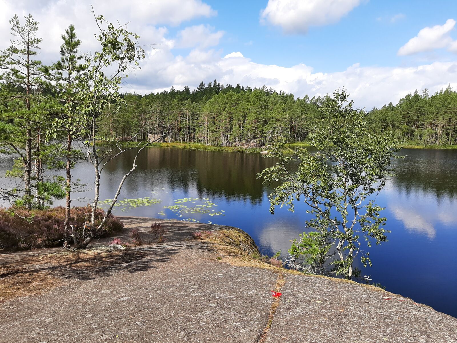 Samsung Galaxy A50 sample photo. Schweden, natur, nature photography