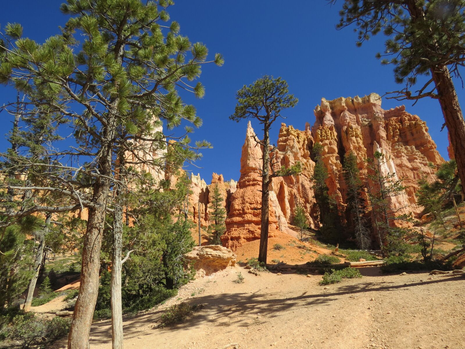 Canon PowerShot SX50 HS sample photo. Bryce canyon, utah, national photography