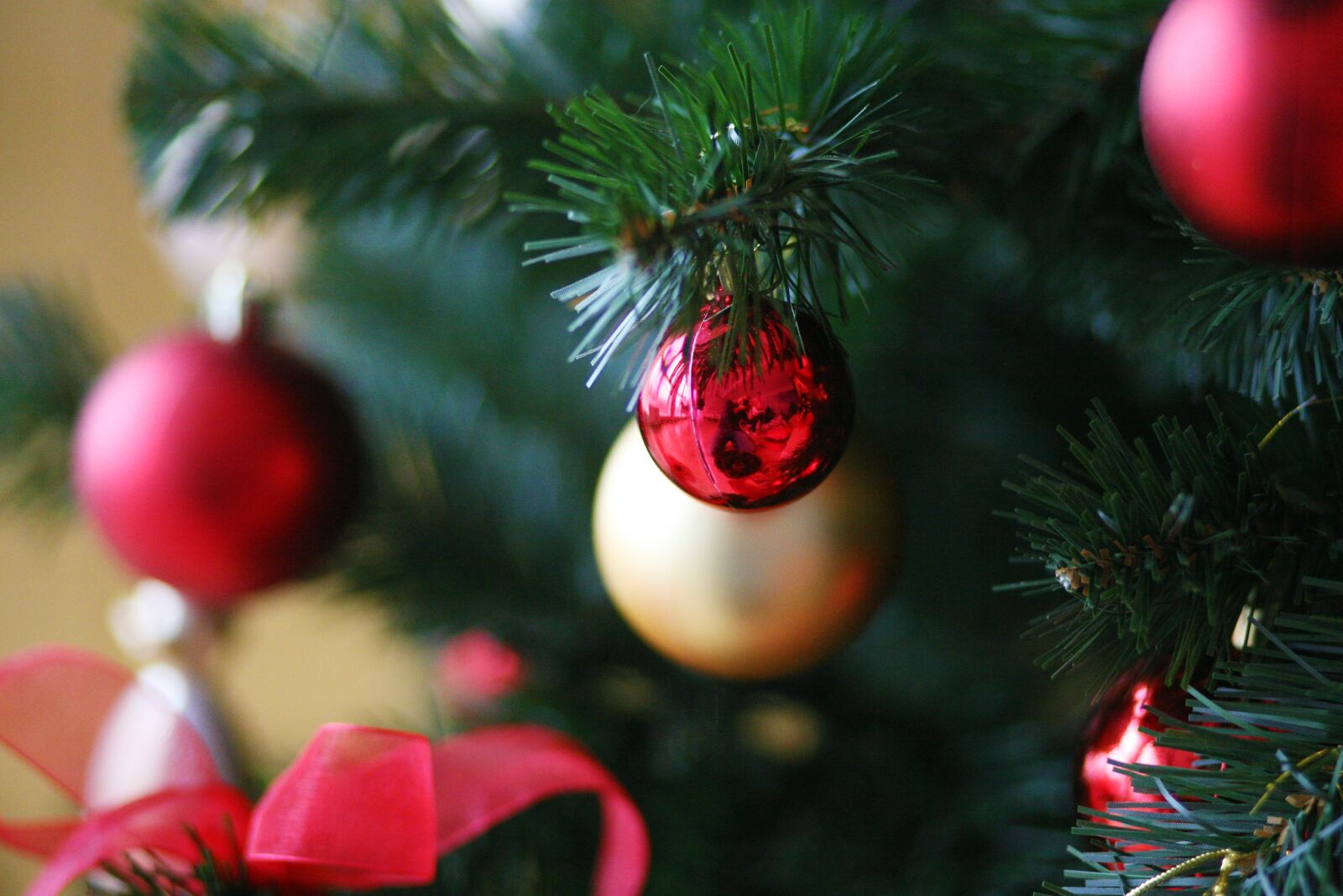 Canon EOS 5D sample photo. New year's eve, christmas photography