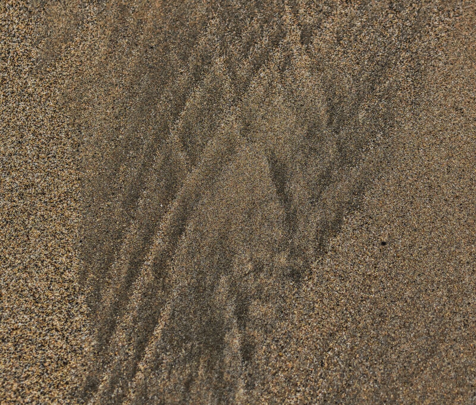 Nikon D5100 sample photo. Beach, beach, sand, beach photography