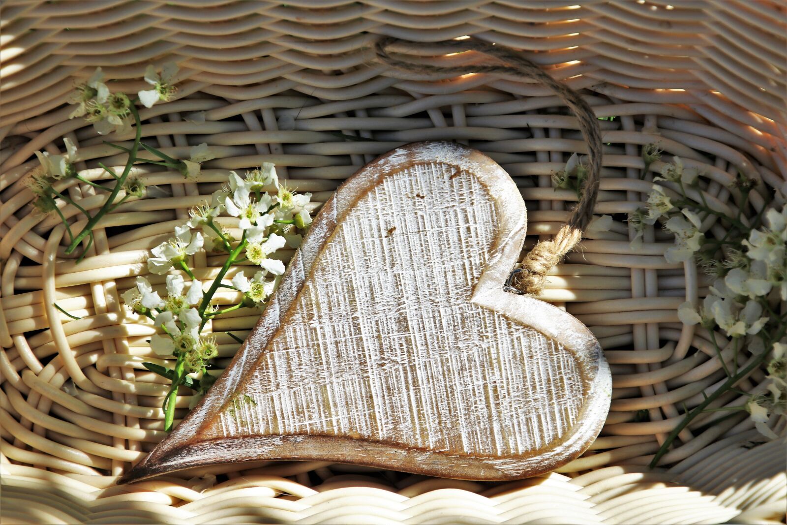 Canon EOS 80D sample photo. Heart, wooden, flowers photography
