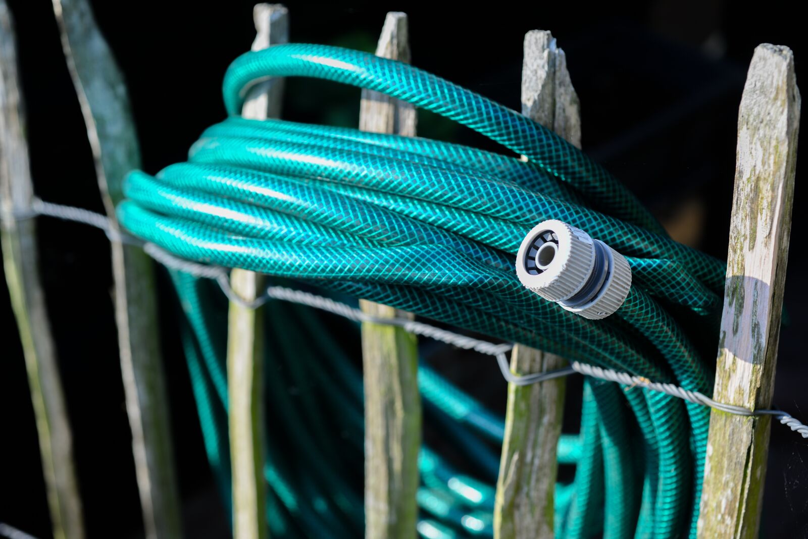 Nikon D610 sample photo. Garden, hose, water photography