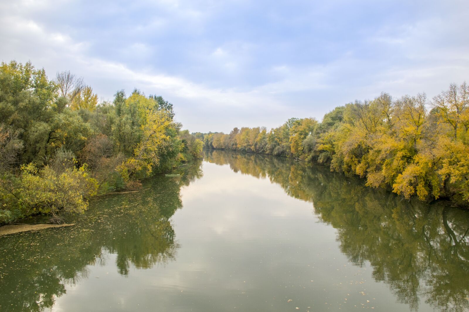 Nikon D5300 sample photo. All, autumn, colors photography