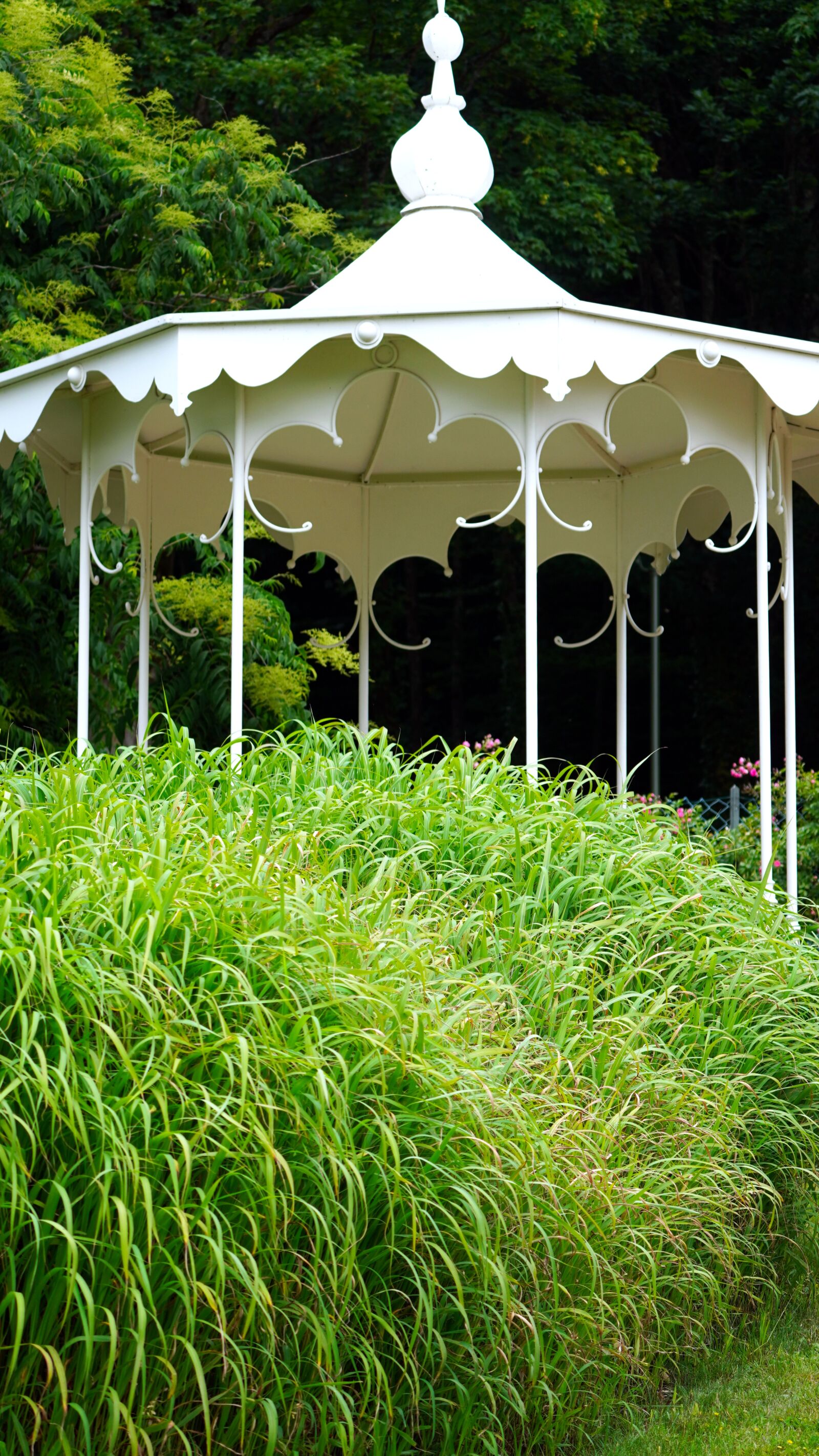 Sony E 70-350mm F4.5-6.3 G OSS sample photo. Garden, pavillion, nature photography
