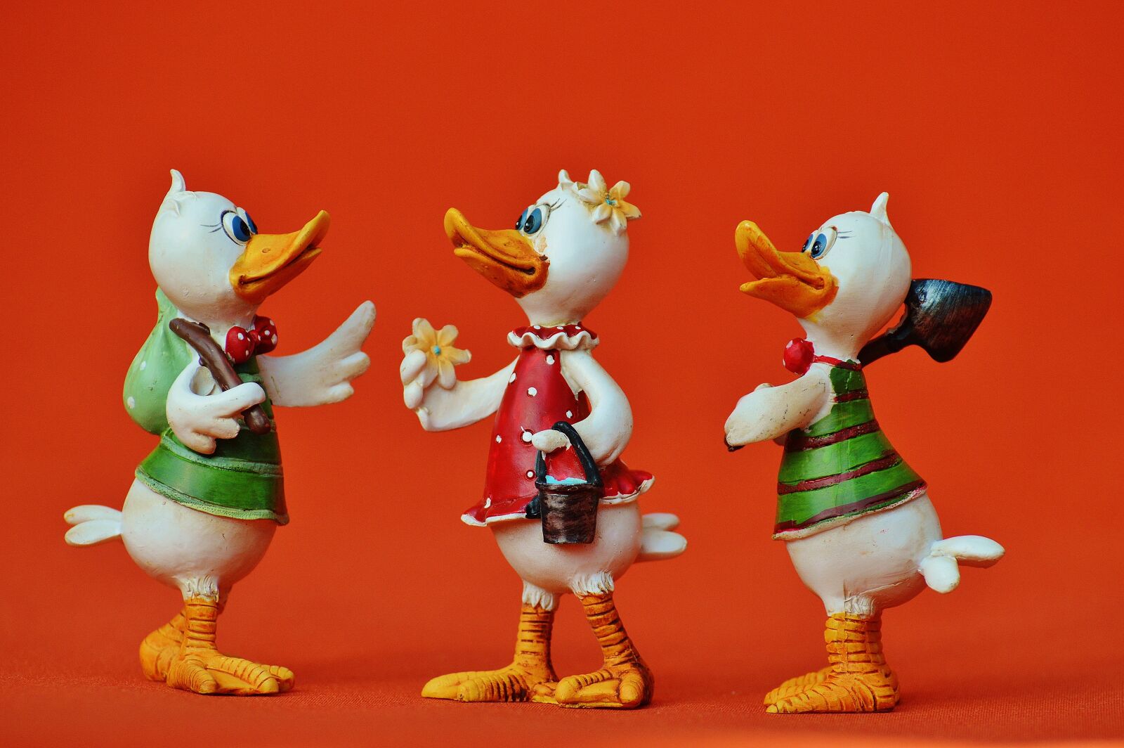 Nikon D3200 sample photo. Ducks, funny, group photography
