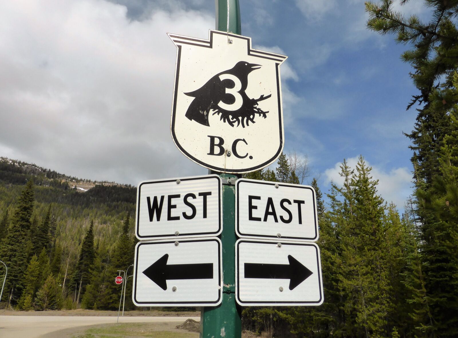 Panasonic Lumix DMC-ZS30 (Lumix DMC-TZ40) sample photo. Road sign, raven, crow photography