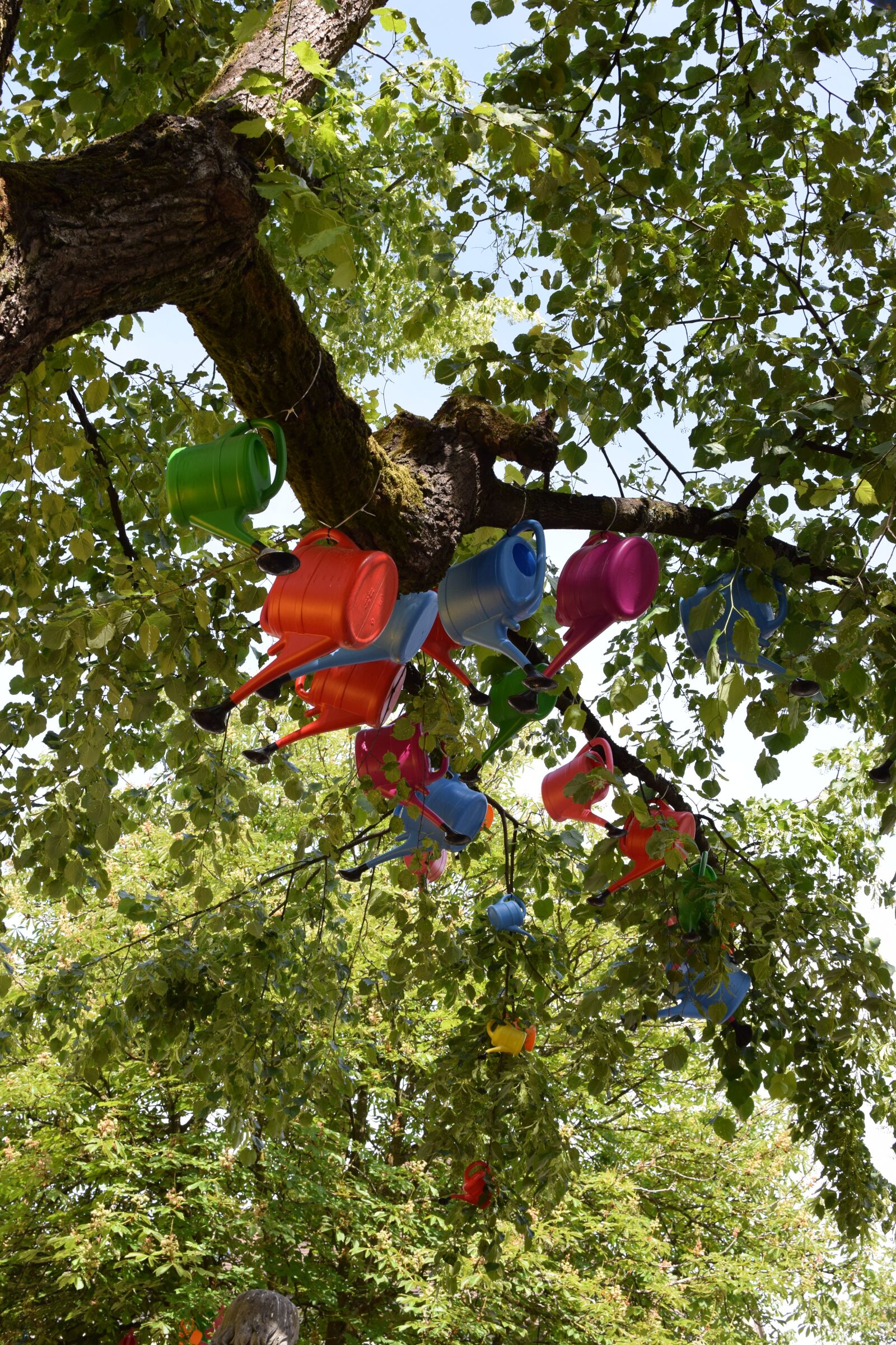 Nikon D5300 sample photo. Resilience, diversity, integration photography