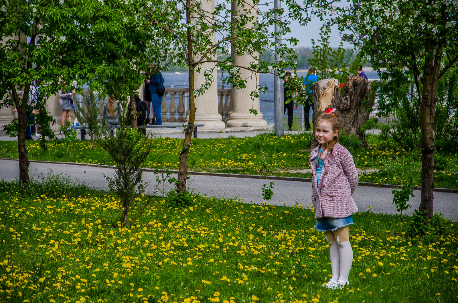 Nikon D5100 sample photo