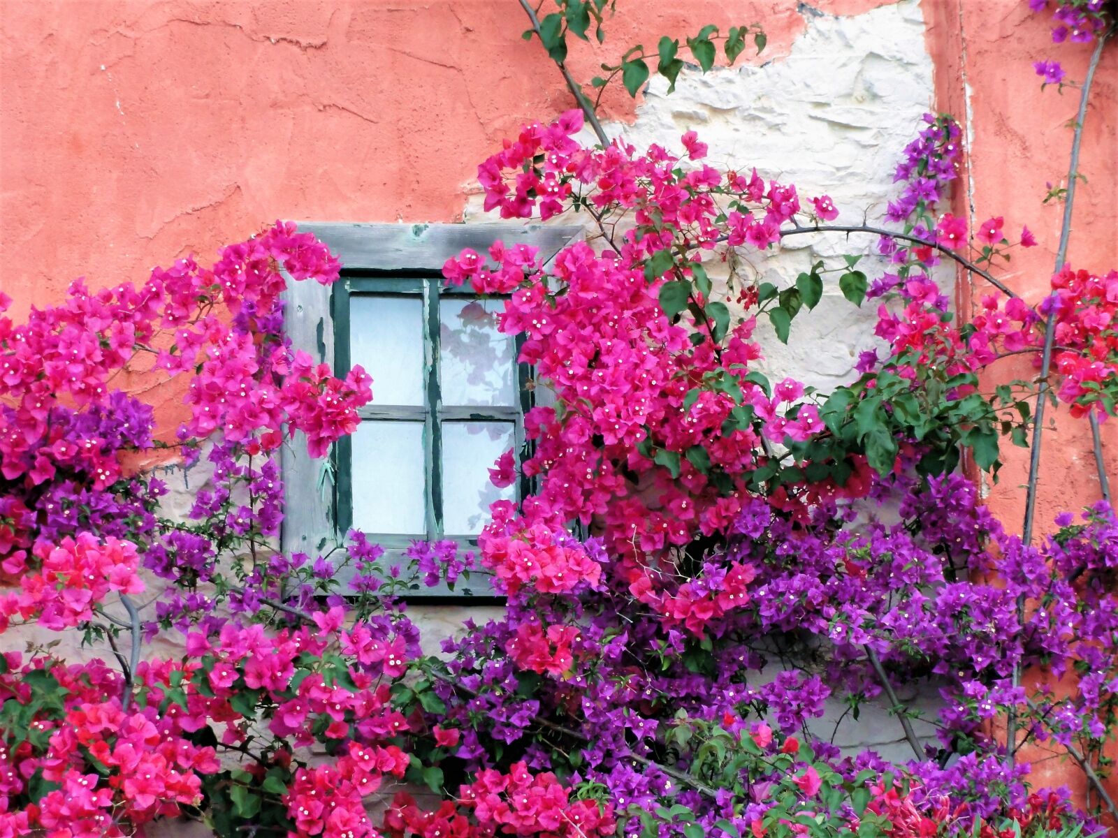 Sony DSC-HX5V sample photo. Window, house facade, hauswand photography