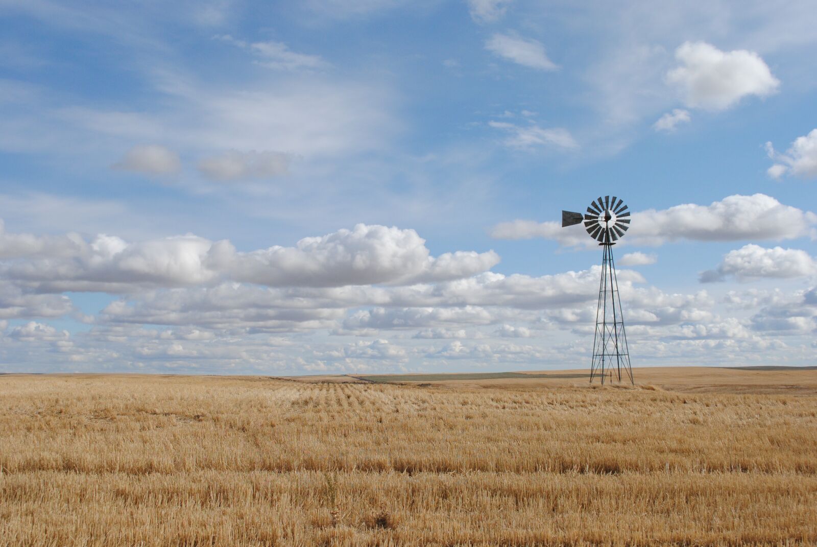 Nikon D3000 sample photo. Farm, west, windmill photography