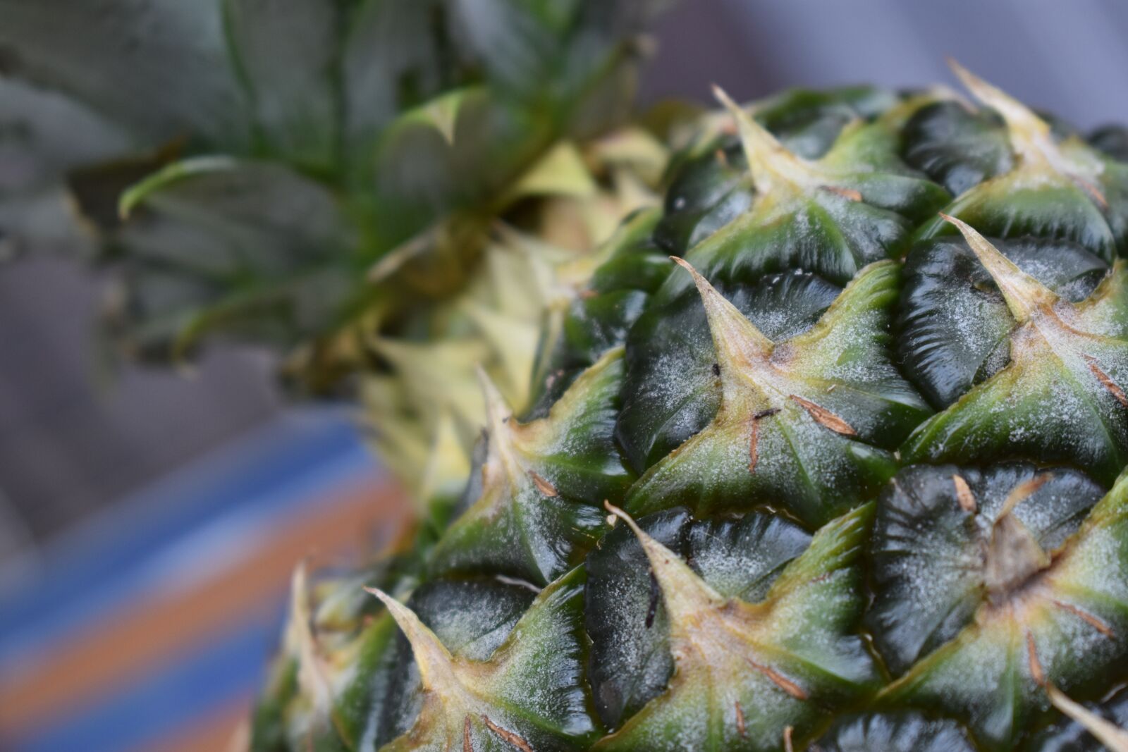 Nikon D3400 sample photo. Pineapple, fruit photography