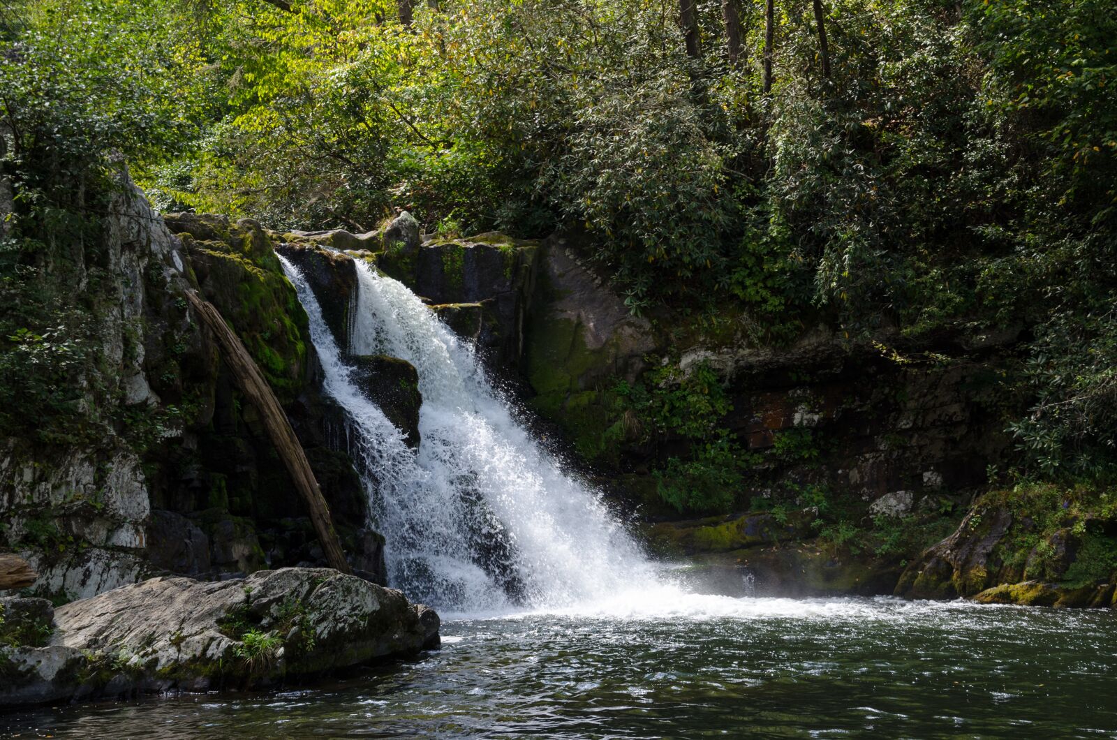 Nikon D5100 sample photo. Usa, america, nature photography