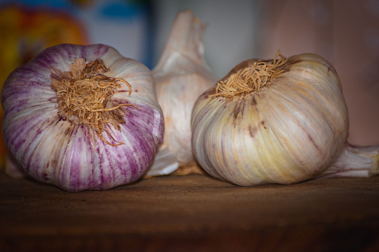 Canon EOS 40D sample photo. Garlic, kitchen, a vegetable photography