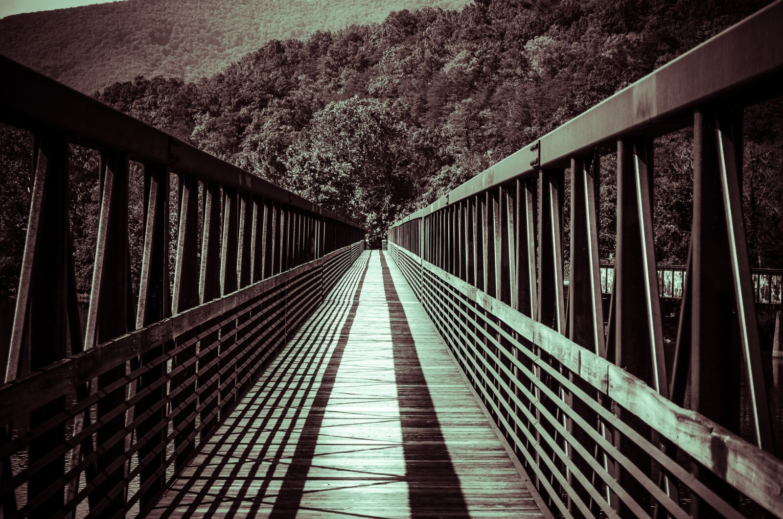 Nikon D5000 sample photo. Bridge, lines, architecture photography