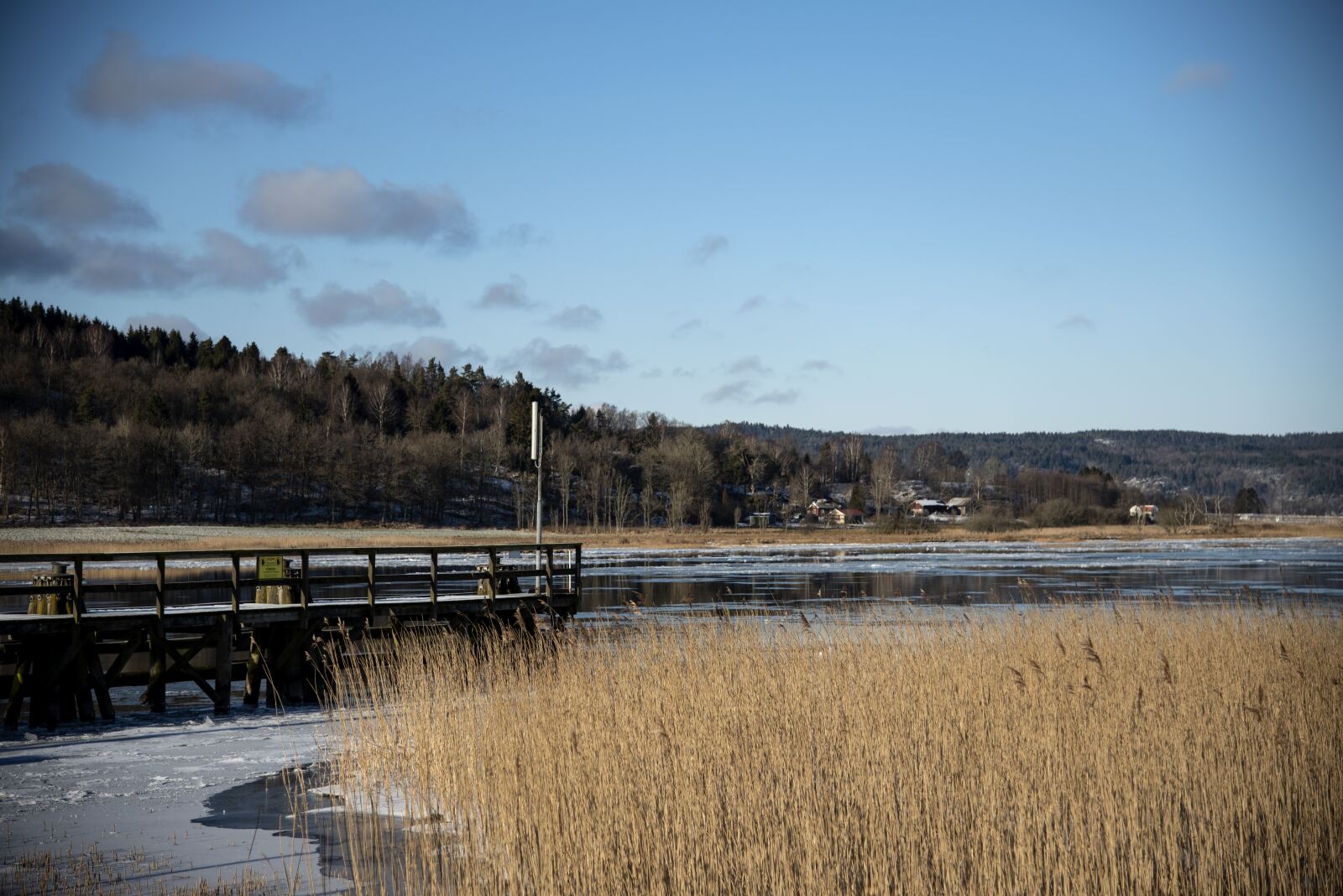 Nikon D750 sample photo. Water courses, water, nature photography