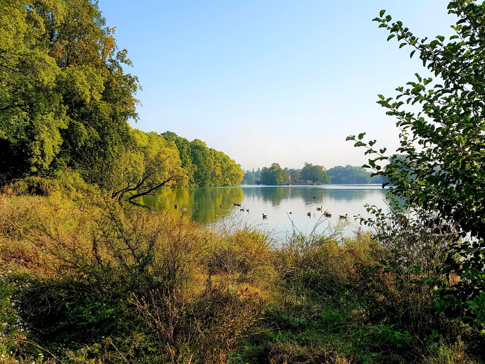 Samsung Galaxy S8+ Rear Camera sample photo. Landscape, lake, nature photography