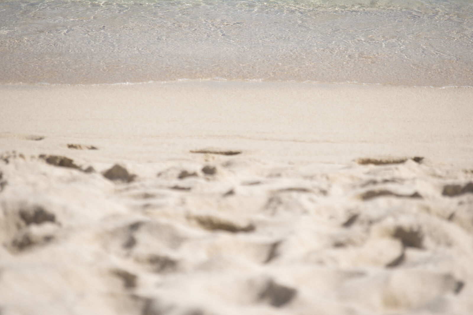 Nikon D5500 sample photo. Beach, pacific, samoa, sand photography