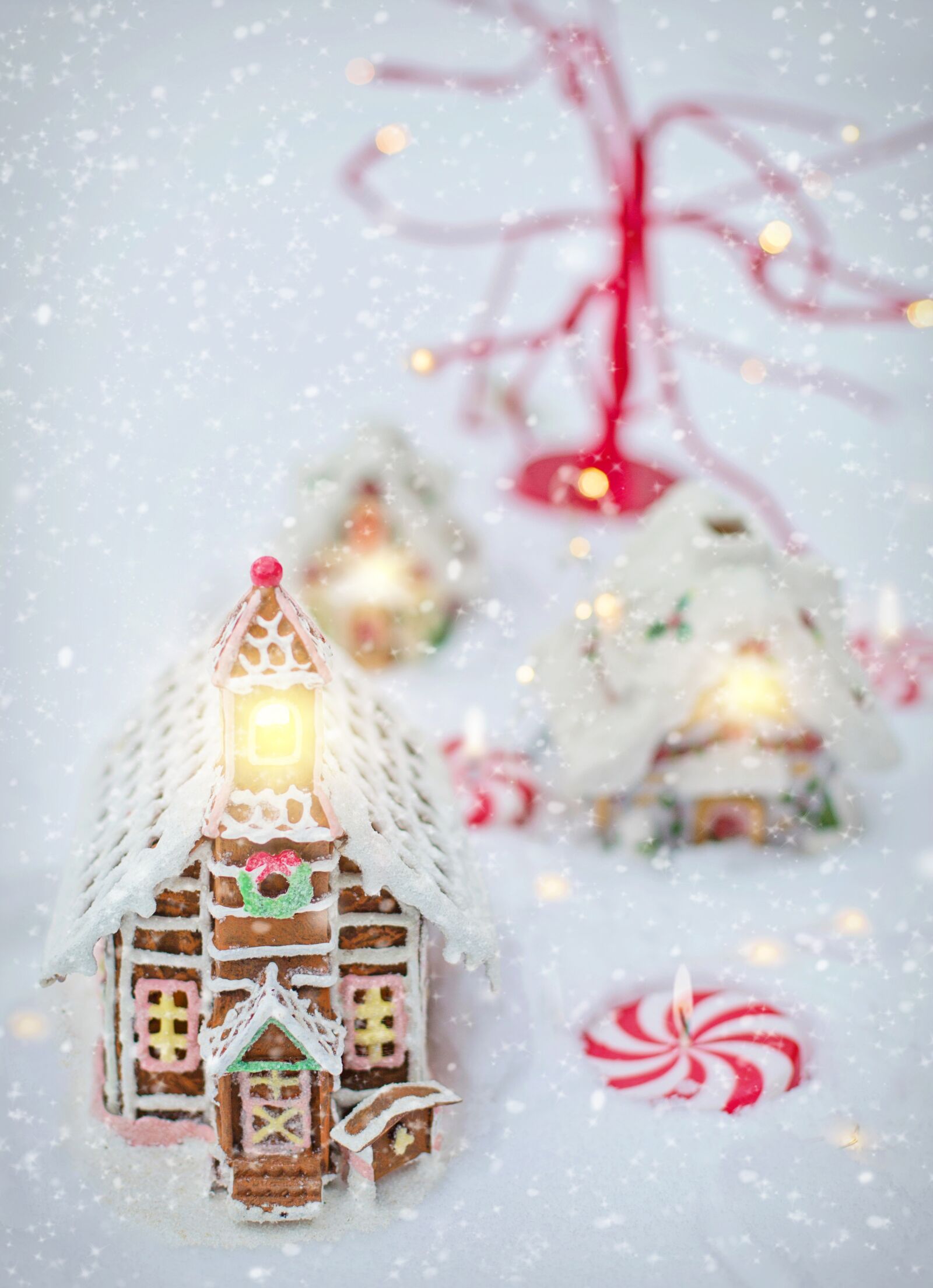 Canon EF 50mm F1.4 USM sample photo. Gingerbread house, village, christmas photography