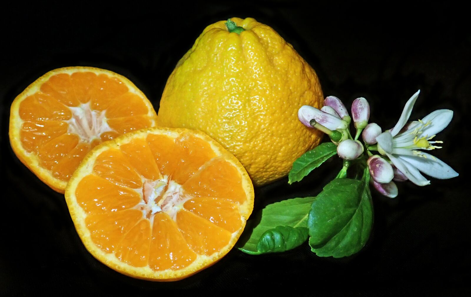Olympus TG-5 sample photo. Fruit, mandarin, citrus photography